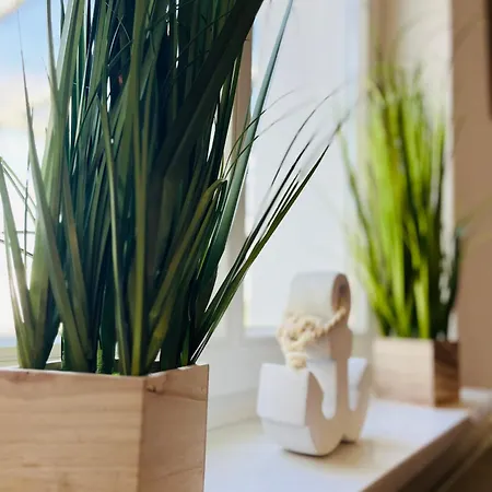 Kapitaenshaus An Der Warnow Mit Sauna